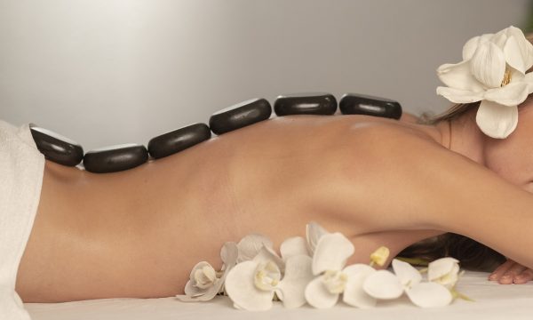 beautiful-flowers-g97c5af24c_1920