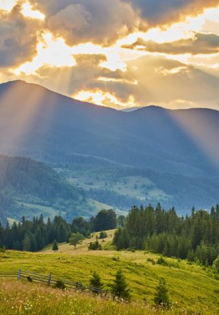 krajobraz-z-lasami-sosnowymi-w-gorach-min