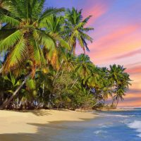 plaza-z-drzewem-kokosowym-o-zachodzie-slonca-min